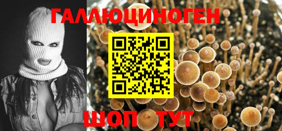 Псилоцибиновые грибы мухоморы  Галлюциногенные грибы прущие грибы  Вход с VPN  Дзержинский 